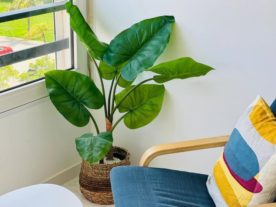 Los Amigos Apartment Torremolinos Ngoại thất bức ảnh